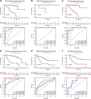 POR | Tumor Subtypes And Signature Model Construction Based On ...